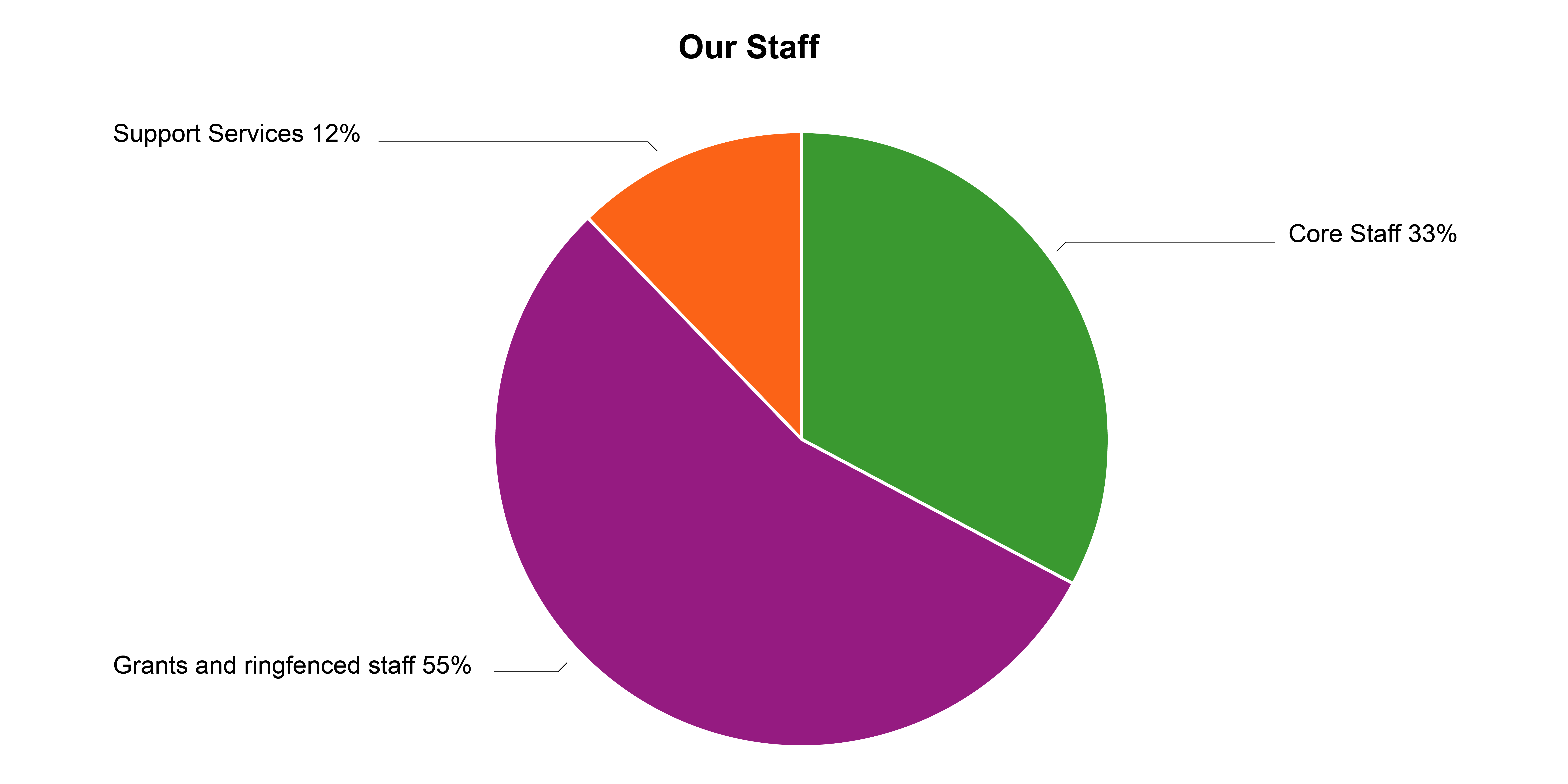 A pie chart showing the LGA's staffing