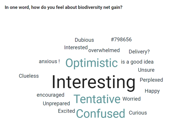 Image of words from poll asking LPAs 'in one word, how do you feel about biodiversity net gain?'