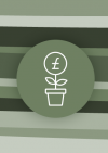 Image of plant pot with money sign