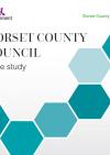 Dorset County Council: The RIFT system (Risk, Information, Focus, Themes)