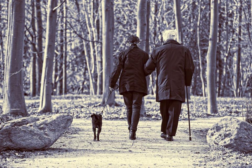 Elderly couple and a dog walking through the woods