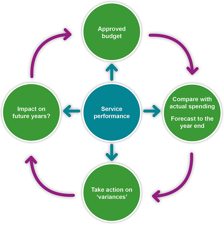 Diagram showing the budget-monitoring process