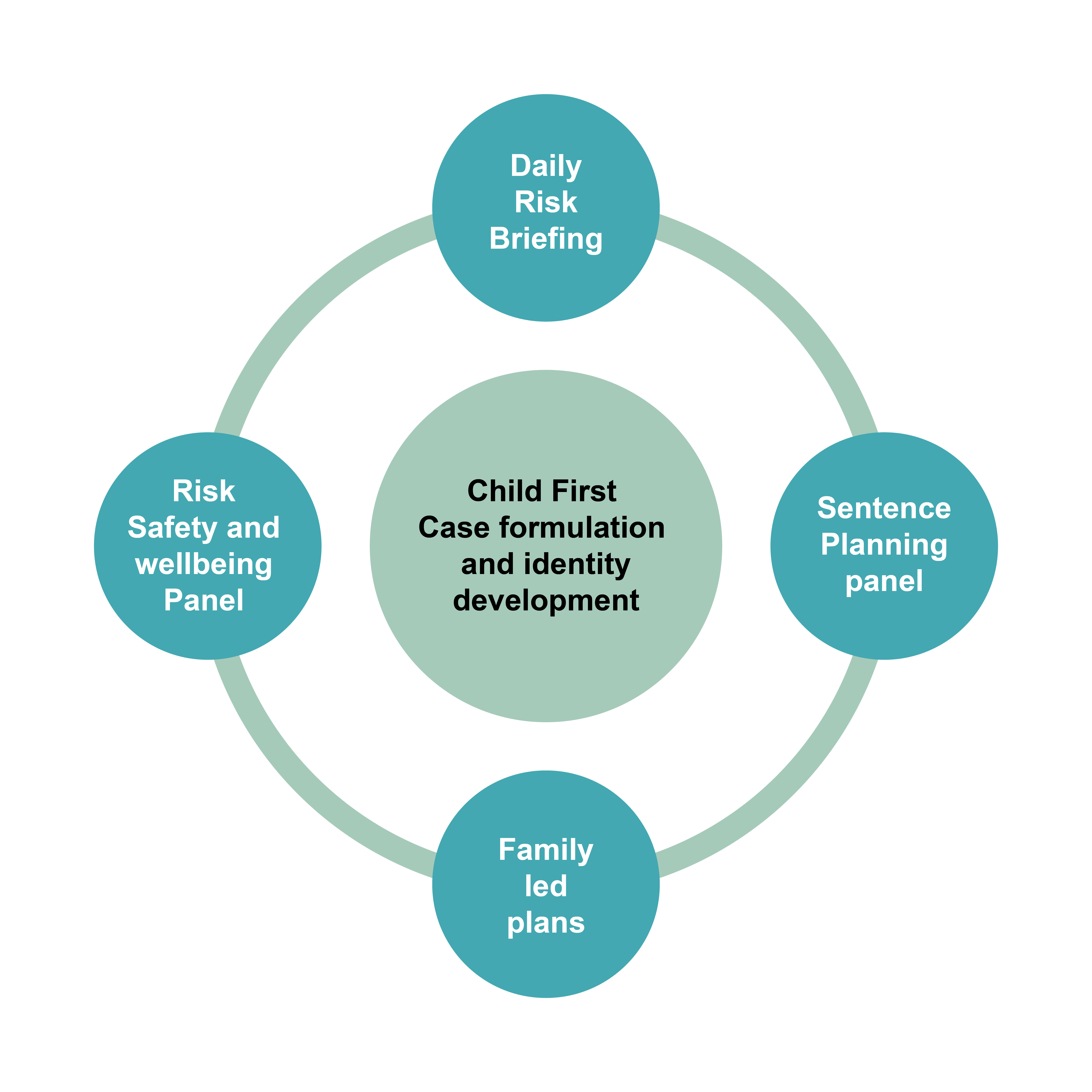 A  case formulation diagram with a light green circle at the centre with the text 'Child First Case formulation and Identity development' and four darker green circles around the outside linked together with the text in each: 'Daily Risk Briefing', 'Sentence Planning panel', Risk Safety and wellbeing Panel and 'Family led plans'