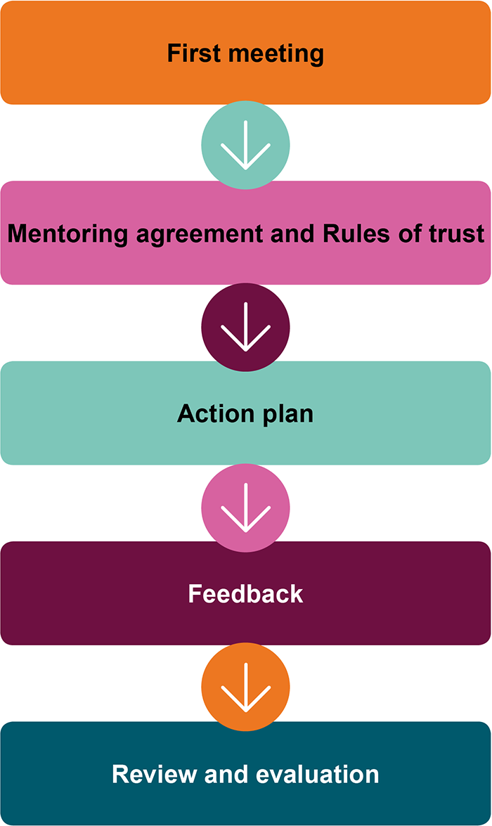 Diagram showing the five stages of planning for mentoring, which are: first meeting, Mentoring agreement and Rules of trust, action plan, feedback, review and evaluation.