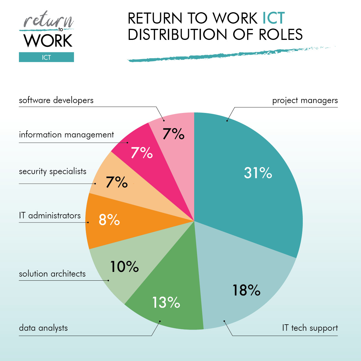 Pie chart showing percentage distribution of roles within the Return to Work ICT candidate pool