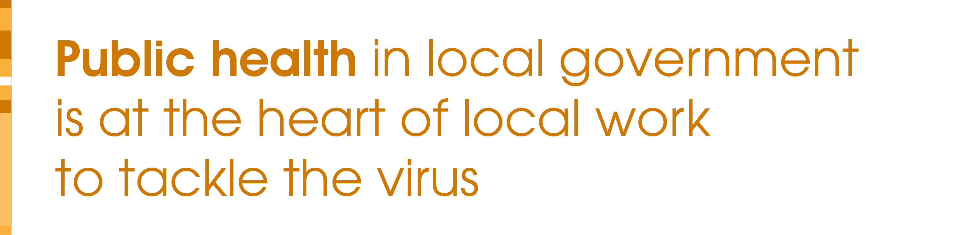 Public health in local government is at the heart of local work to tackle the virus.