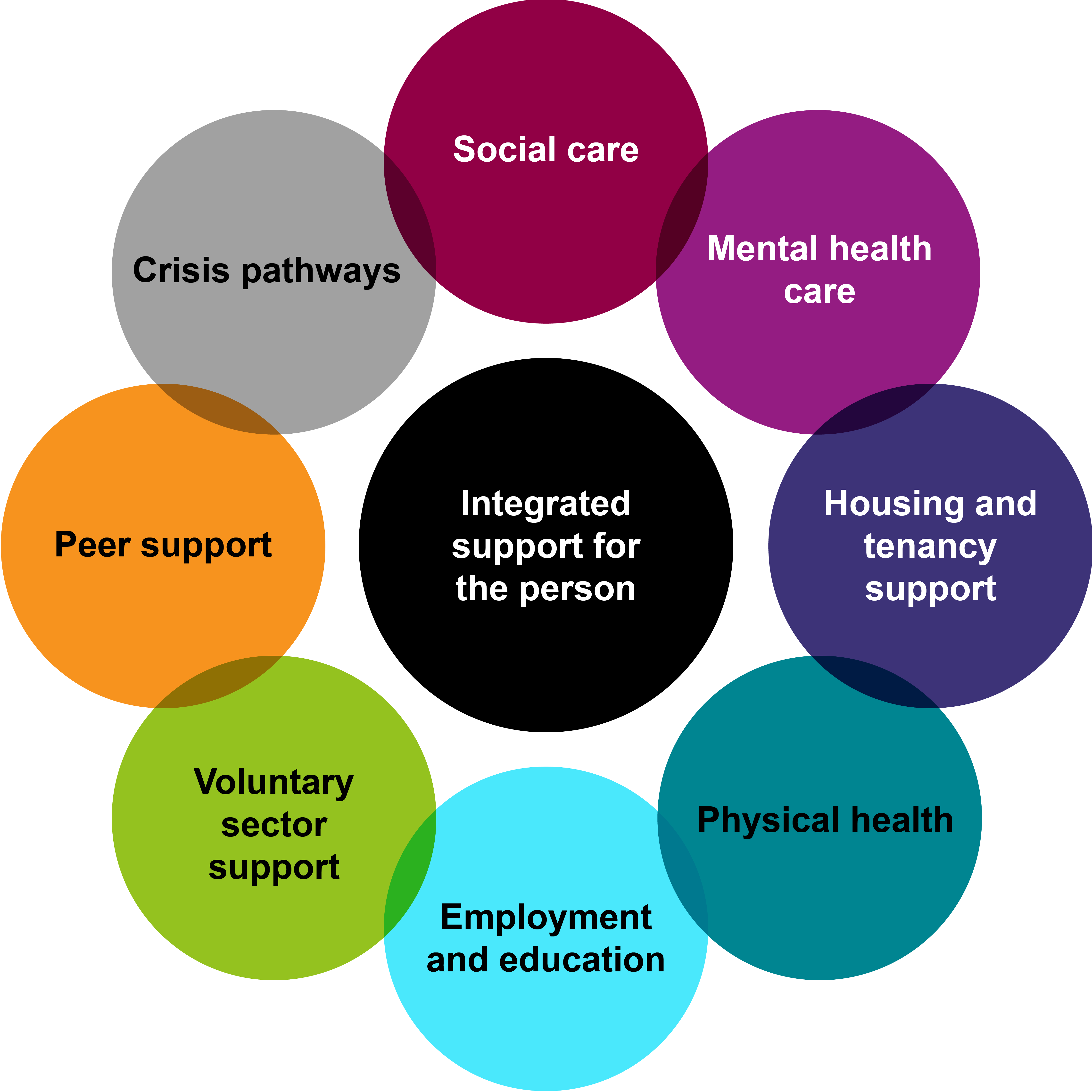 Integrated support for one person should be supported by social care, mental health care, housing and tenancy support, physical health, employment and education, voluntary sector support, peer support and crisis pathways/