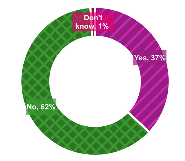 Figure 1: Does your local authority use caveats in addition to the statutory threshold for case review?