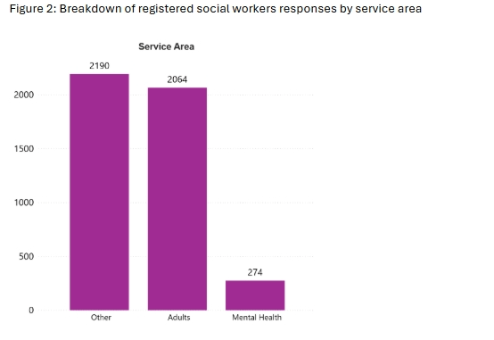 Breakdown of registered social workers responses by service area