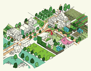 PAS Design Code Colchester Image