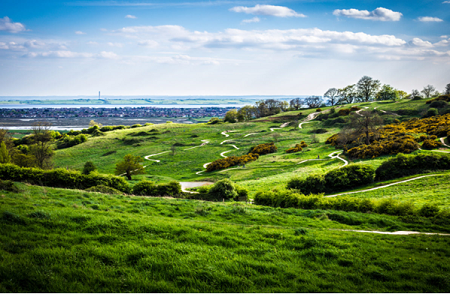 A photograph of Essex countryside
