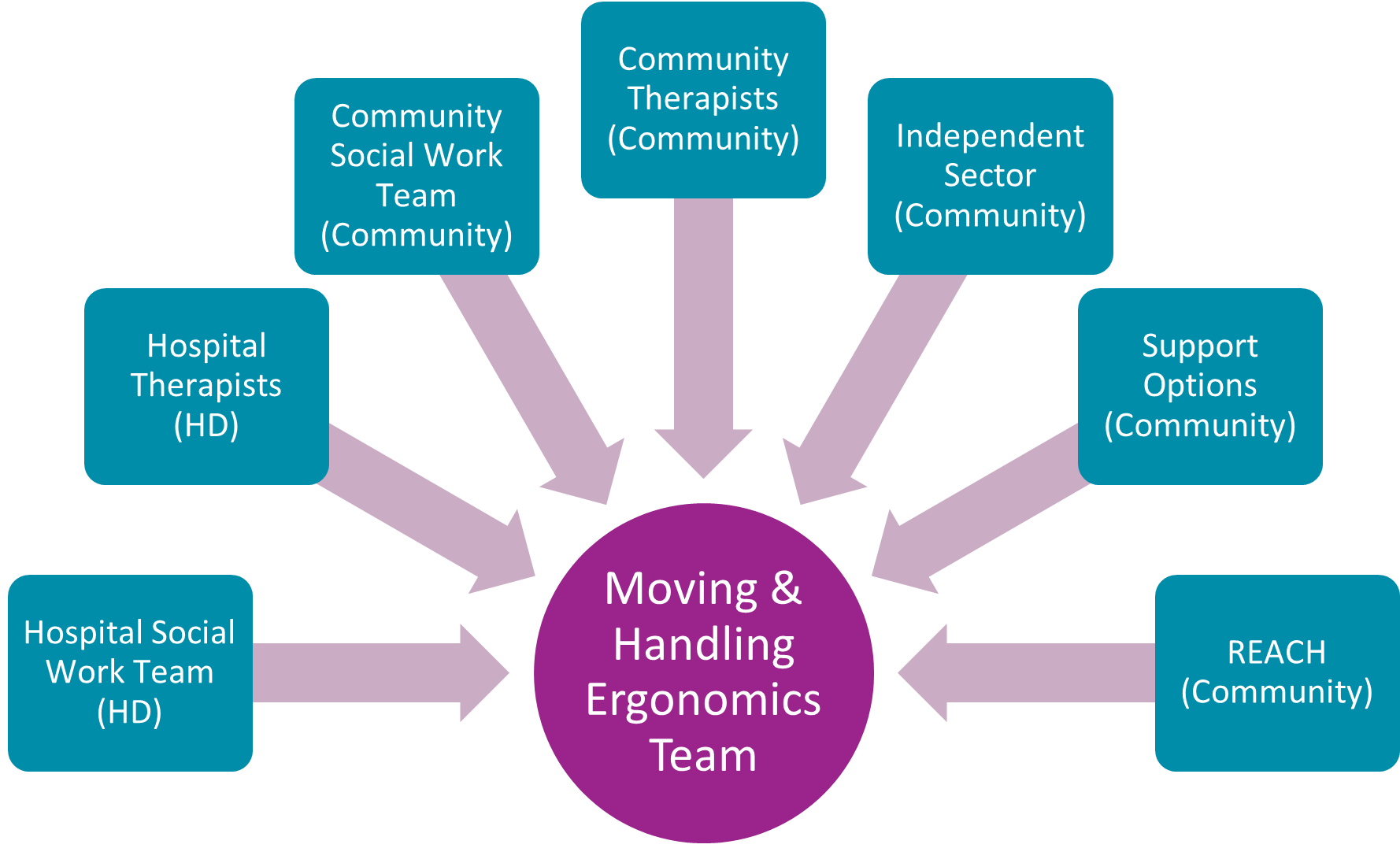 Moving and handling ergonomics teams