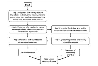 Diagram showing LNRS preparation stages