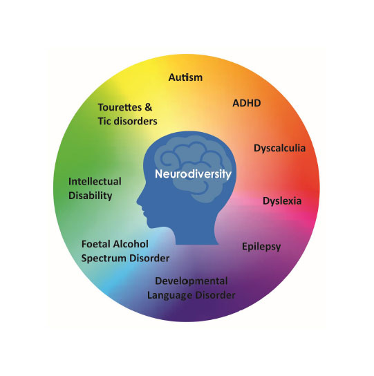 Neurodiversity image of a silhouette with names of conditions around it, namely autism, ADHD, Dyscalculia, Dyslexia, Epilepsy, Developmental Language Disorder, Foetal Alcohol Spectrum Disorder, Intellectual Disability, Tourettes and Tic disorders