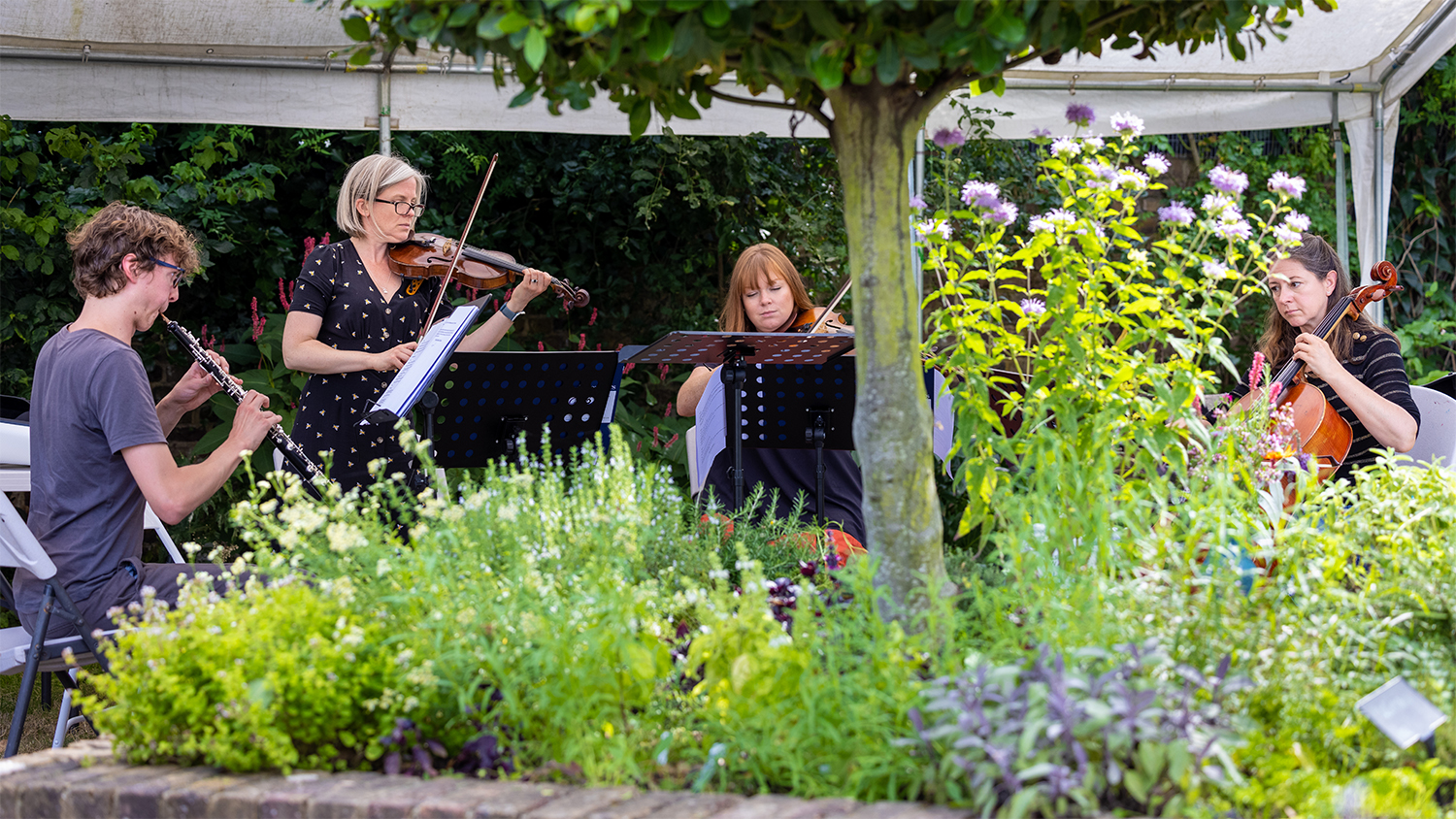 Members of the English Chamber Orchestra playing in a garden