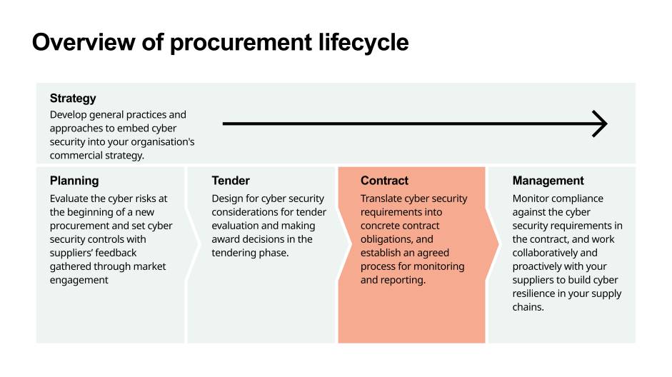 Overview of procurement life cycle with the contract phase highlighted