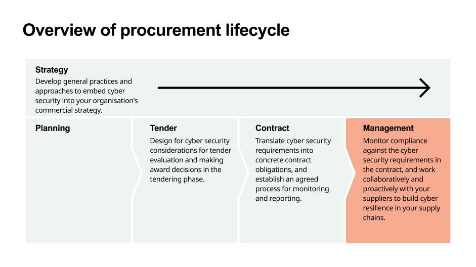 Overview of procurement life cycle with management phase highlighted