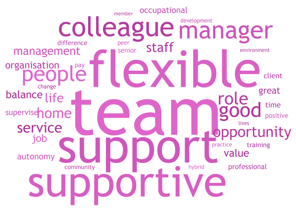 A word cloud with flexibility, team and support as the biggest words