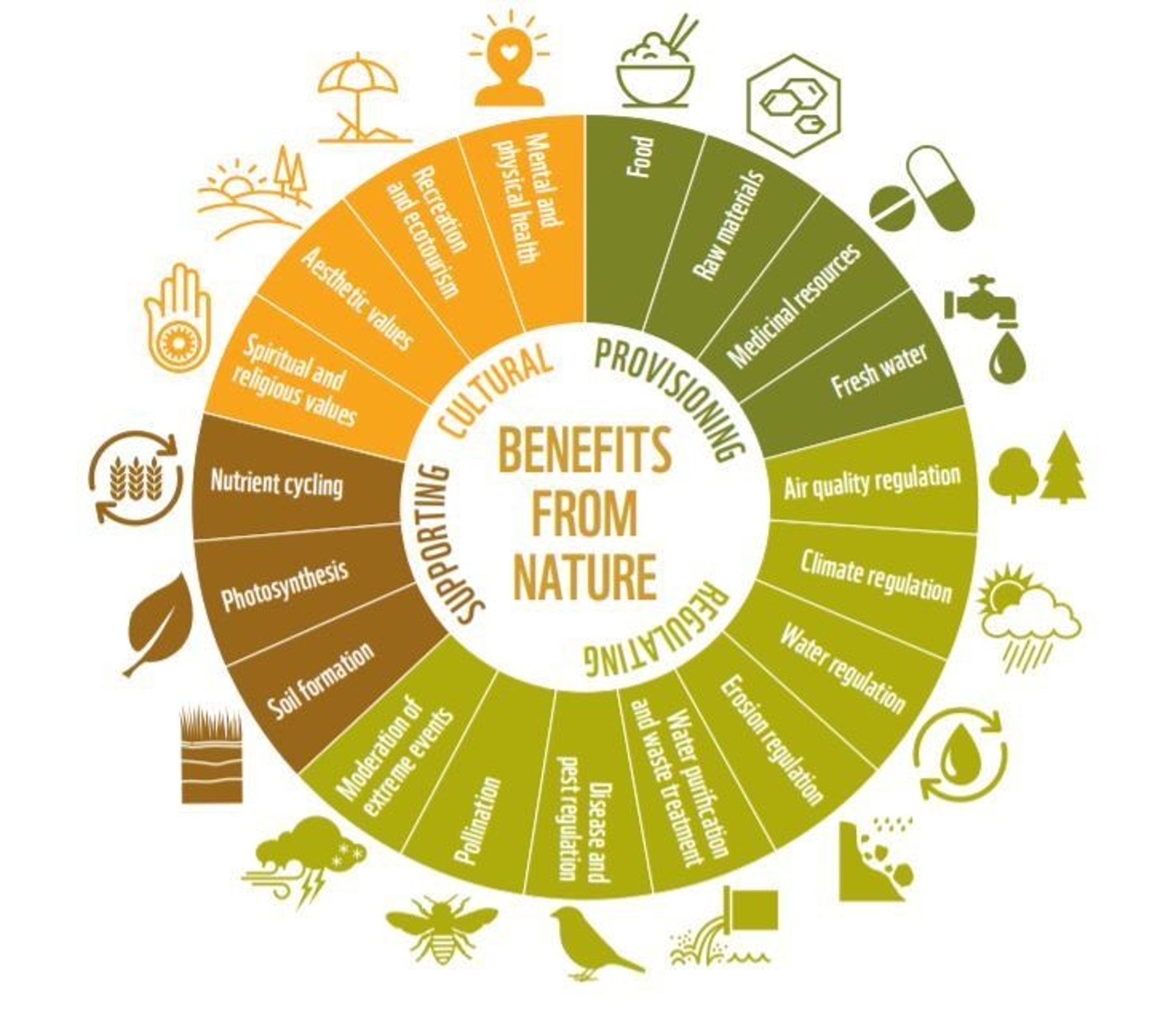 Nature toolkit graph alt text to be added