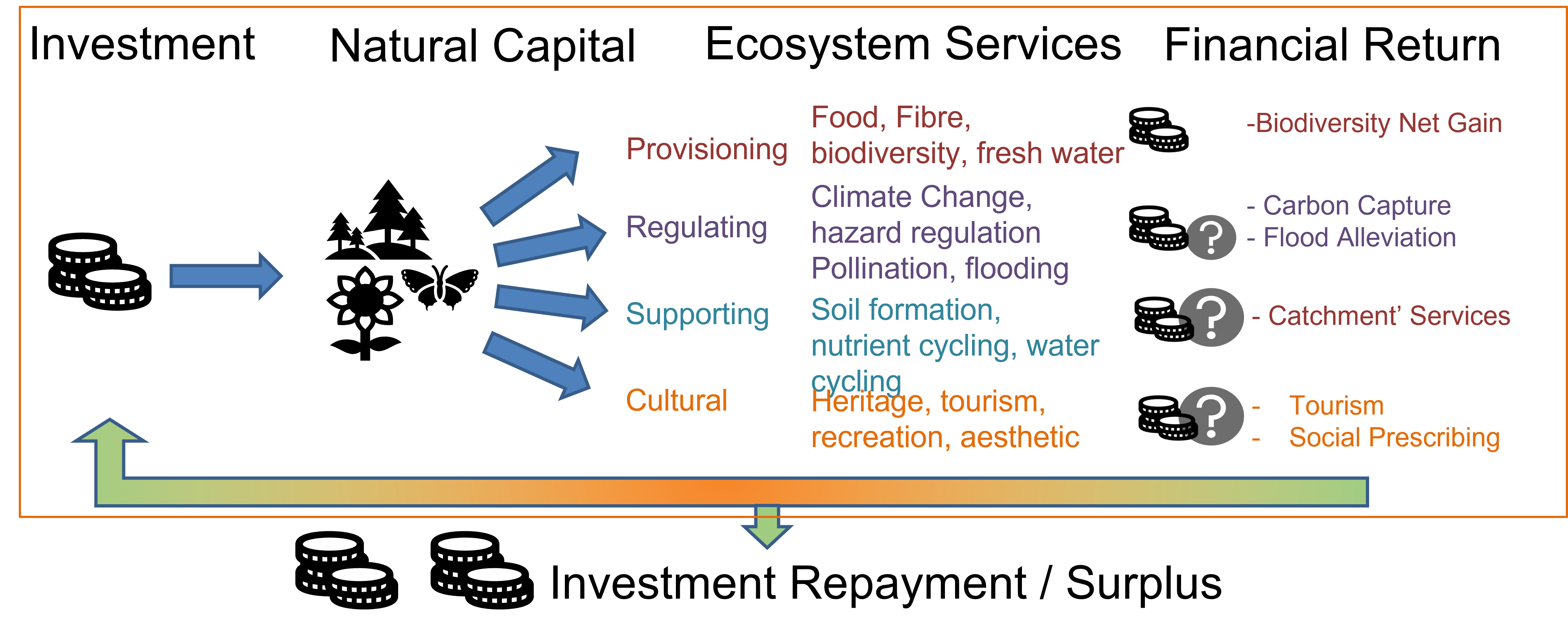 A flowchart illustrating different ecosystem services categorized into Provisioning (food, fiber, biodiversity, fresh water), Regulating (climate change, hazard regulation, pollination, flooding), Supporting (soil formation, nutrient cycling, water cycling), and Cultural (heritage, tourism, recreation, aesthetic). Additional benefits such as biodiversity net gain, carbon capture, flood alleviation, and tourism are also highlighted.