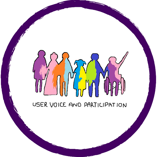 drawing of people in a circle holding hands dressed in colourful clothing. Wording 'user voice and participation'