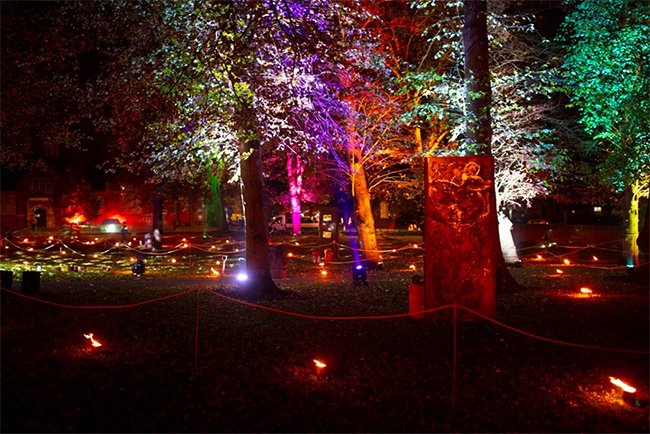 A scene at Illuminate 2021 in Gainsborough at night with leafless trees uplit in the dark by different coloured lights and fire lanterns burning on the ground marking out a trail among the trees 