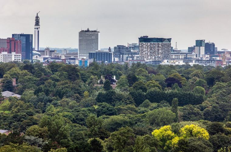 Photo of trees with Birmingham's city skyline in the back