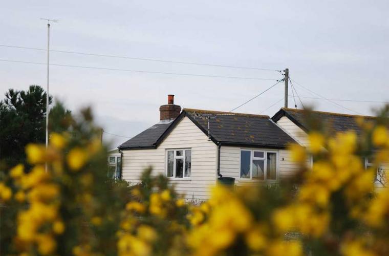 White clapboard house with yellow flowers in front of it