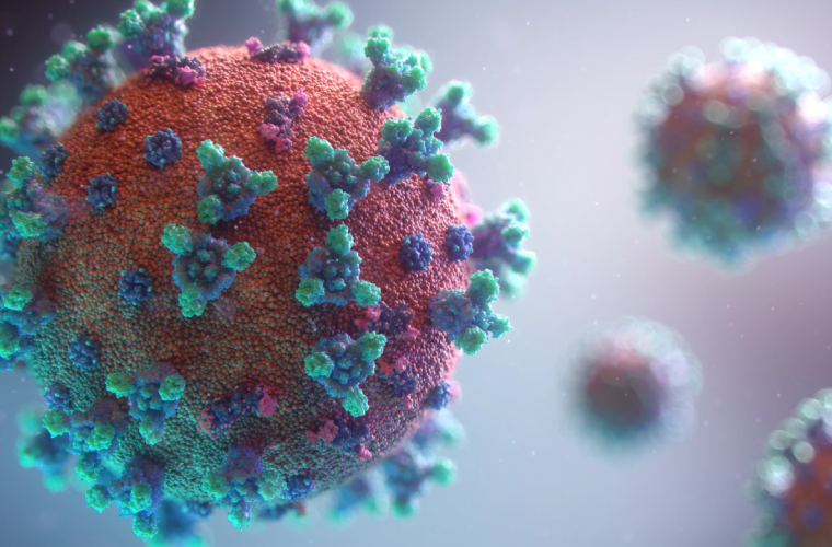 Close up of a COVID 19 virus