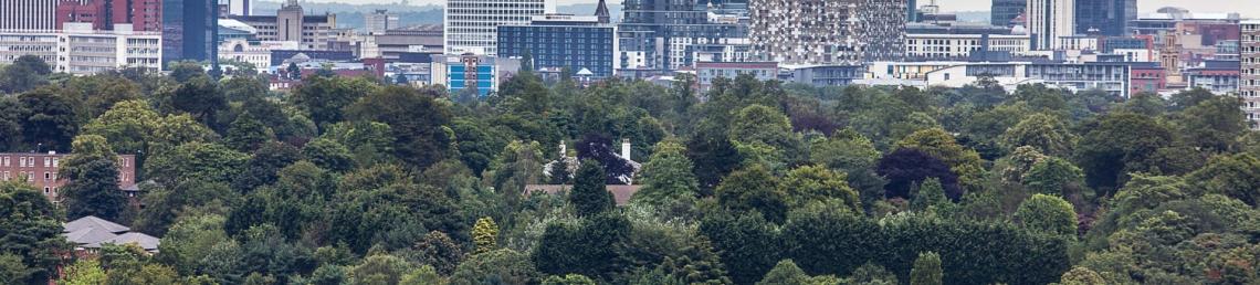 Photo of trees with Birmingham's city skyline in the back