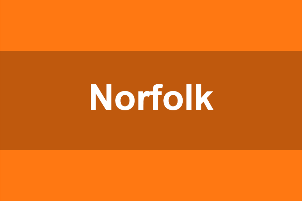Norfolk case study