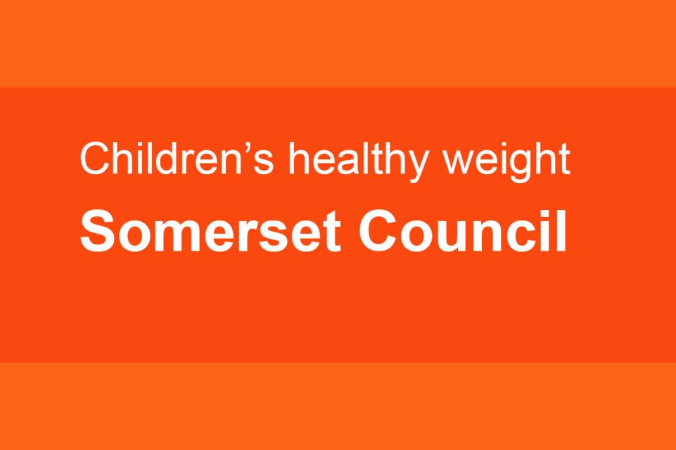 Somerset council healthy weight