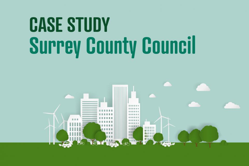 Surrey Council - One Story case study