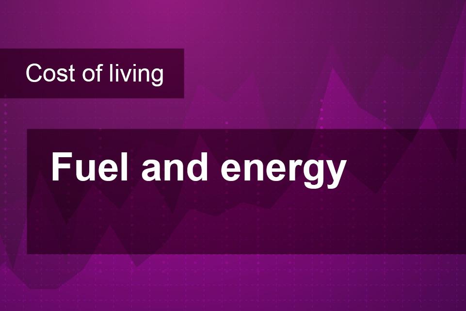 Cost of living: Fuel and energy