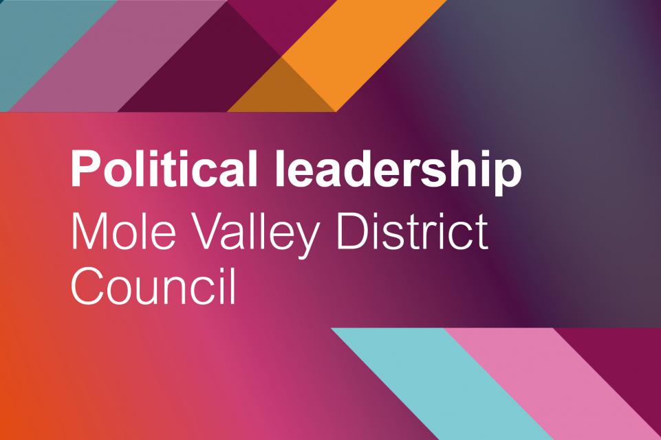 Graphic with text Political leadership Mole Valley District Council 
