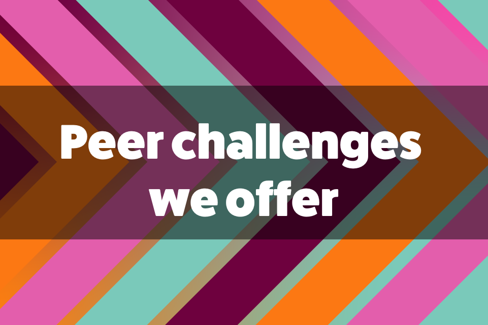 Peer challenges we offer text on colourful diagonal background