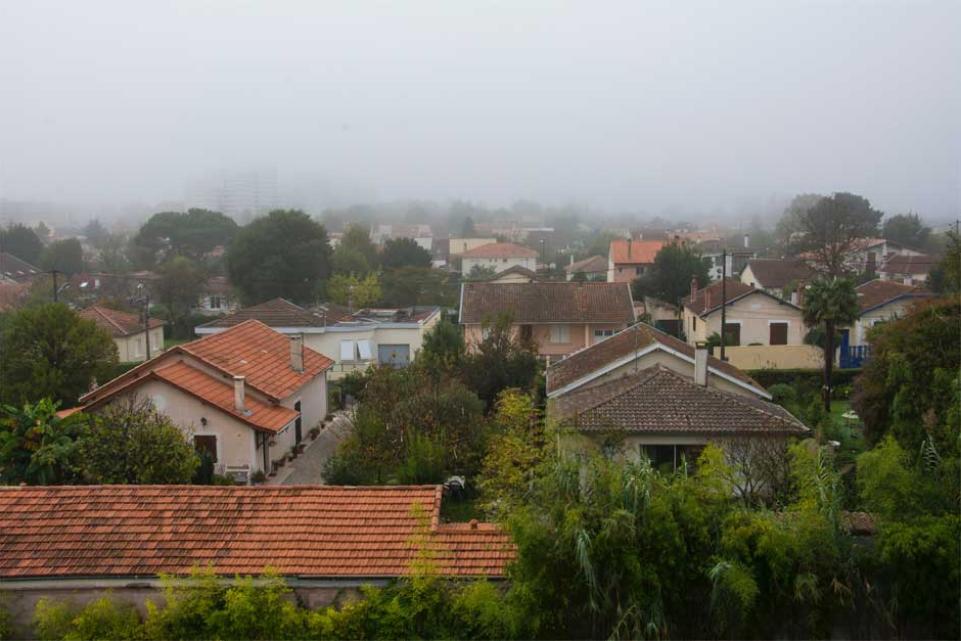Rooftops and houses and green trees on a misty day