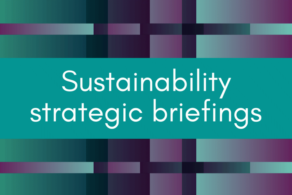 Sustainability Hub strategic briefings feature image